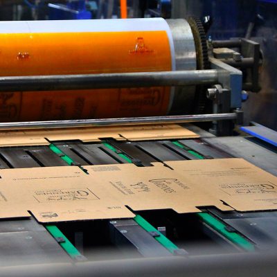 CAPL Vini - Impression & transformation